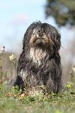 LHASSA APSO 048